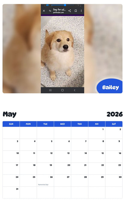 2026 - 2027 Bailey - Pawidols Pet Calendar