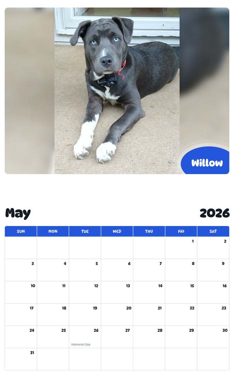 2026 - 2027 Willow - Pawidols Pet Calendar