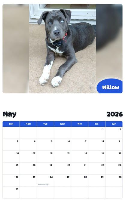 2026 - 2027 Willow - Pawidols Pet Calendar
