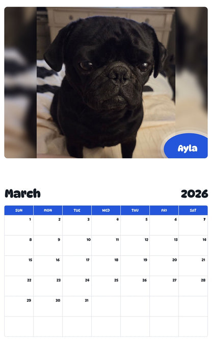 November 2025 - October 2026 Ayla - Pawidols Pet Calendar