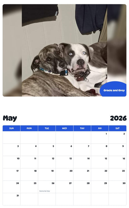 2026 - 2027 Gracie and Grey - Pawidols Pet Calendar