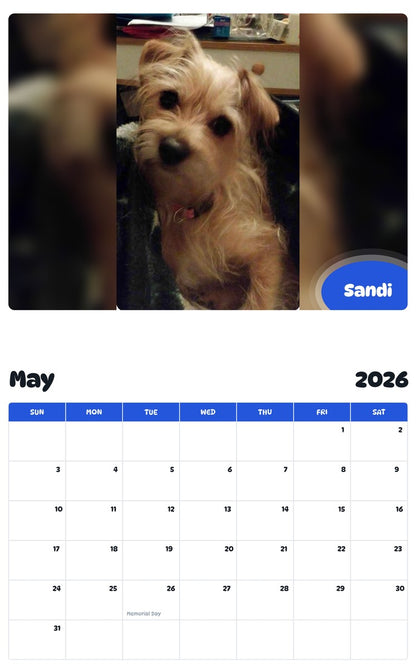2026 - 2027 Sandi - Pawidols Pet Calendar