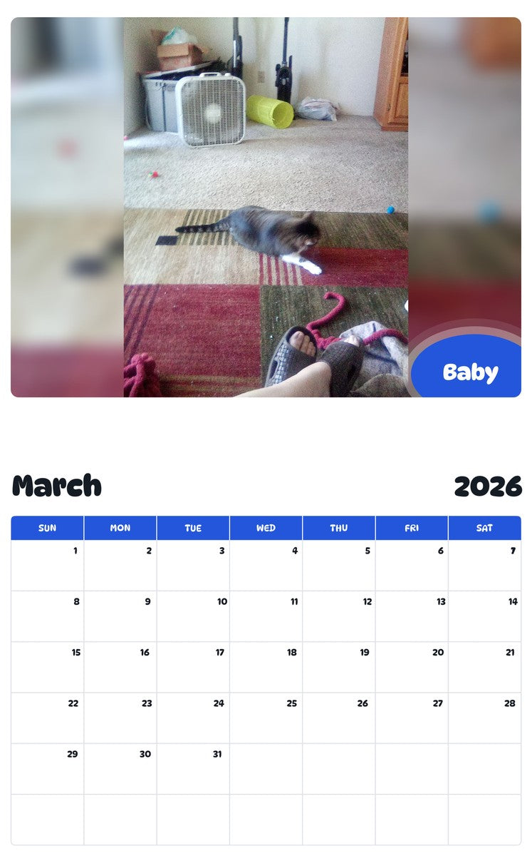 November 2025 - October 2026 Baby - Pawidols Pet Calendar