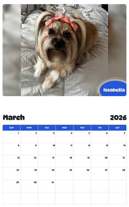 November 2025 - October 2026 Issabella - Pawidols Pet Calendar