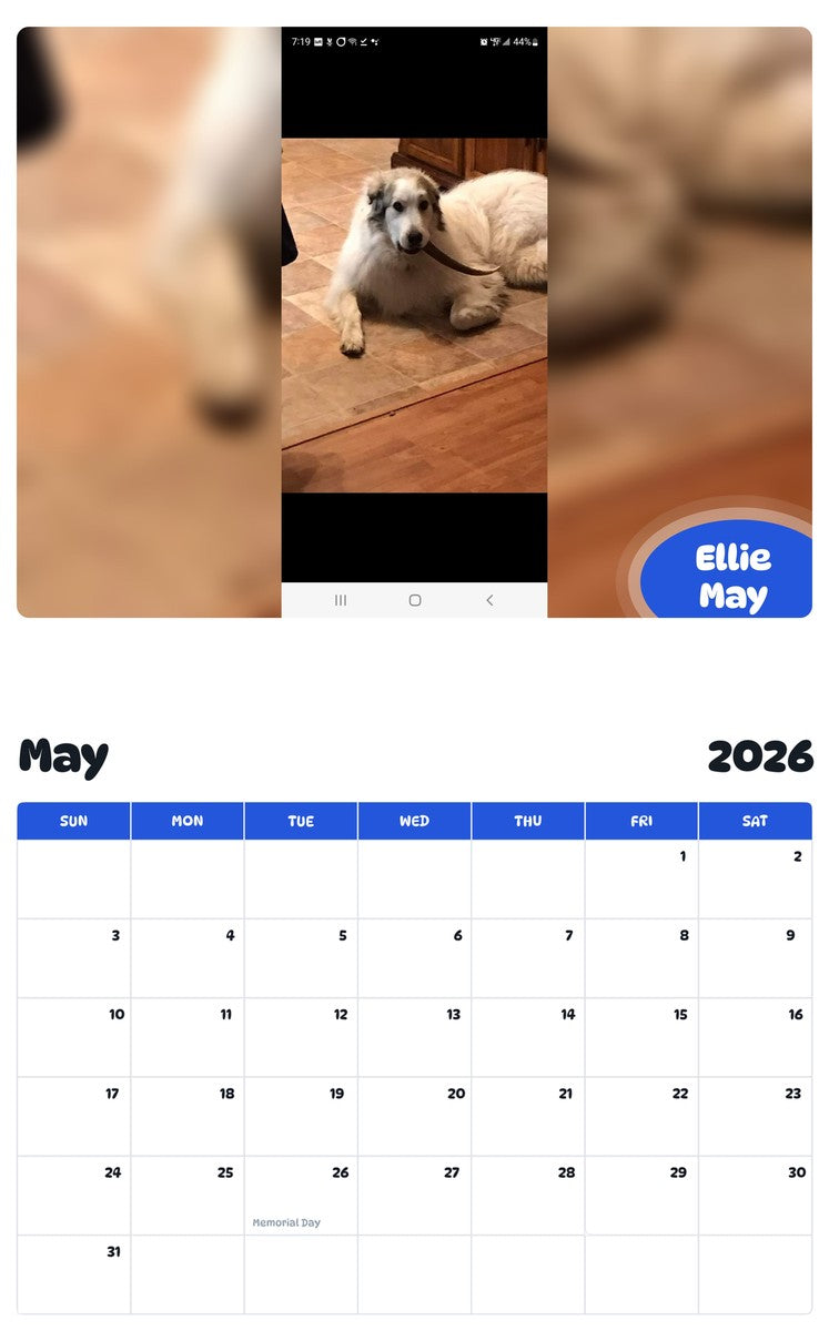 2026 - 2027 Ellie May - Pawidols Pet Calendar