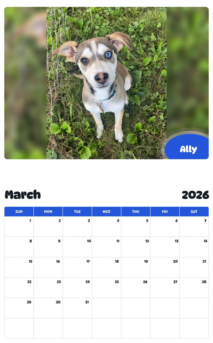 November 2025 - October 2026 Ally - Pawidols Pet Calendar