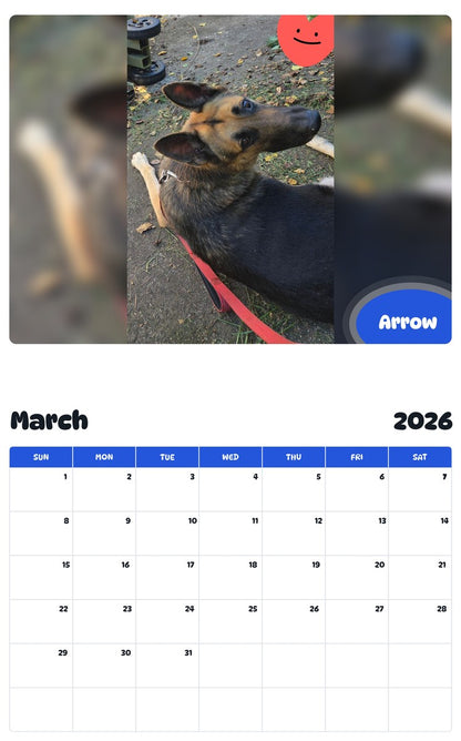 November 2025 - October 2026 Arrow - Pawidols Pet Calendar