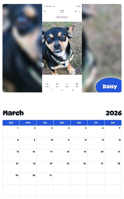 November 2025 - October 2026 Daisy - Pawidols Pet Calendar