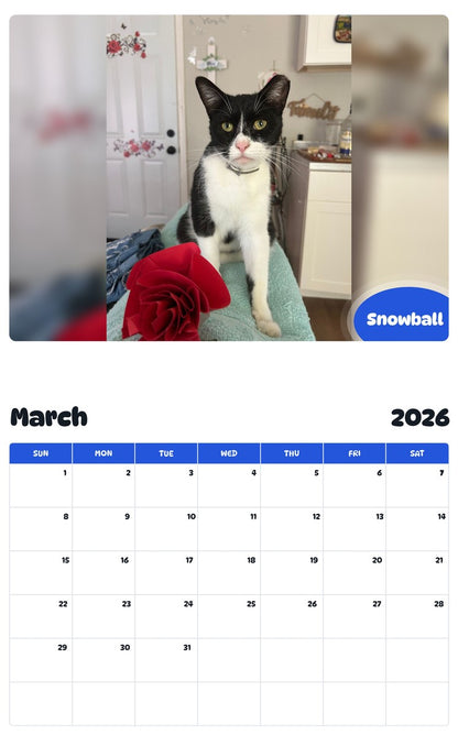 November 2025 - October 2026 Snowball - Pawidols Pet Calendar
