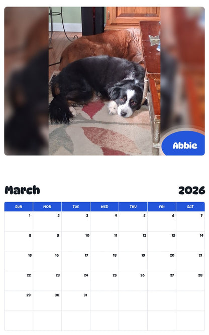November 2025 - October 2026 Abbie - Pawidols Pet Calendar