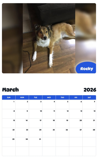 November 2025 - October 2026 Rocky - Pawidols Pet Calendar