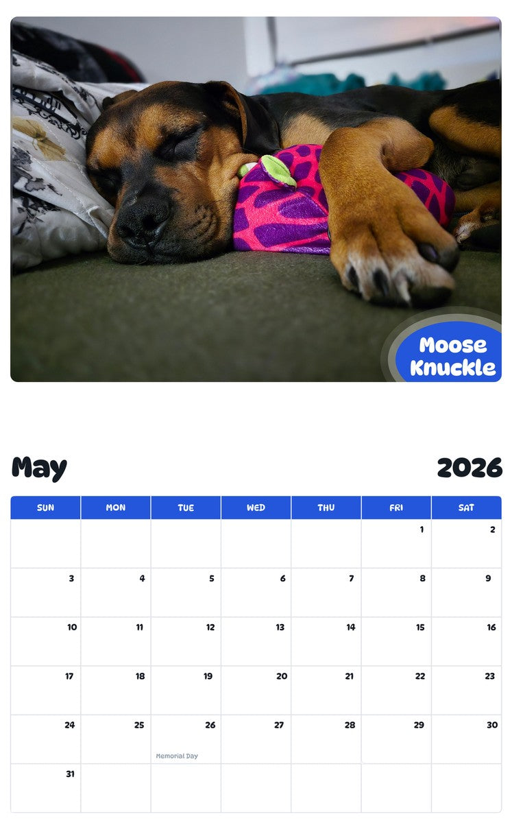 2026 - 2027 Moose Knuckle - Pawidols Pet Calendar