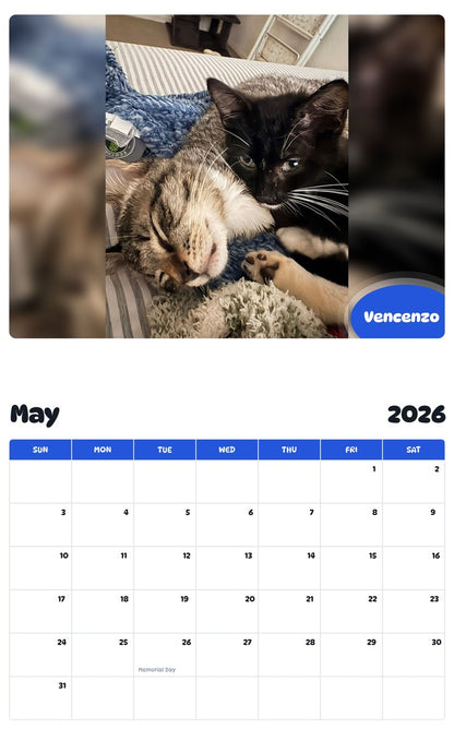 2026 - 2027 Vencenzo - Pawidols Pet Calendar