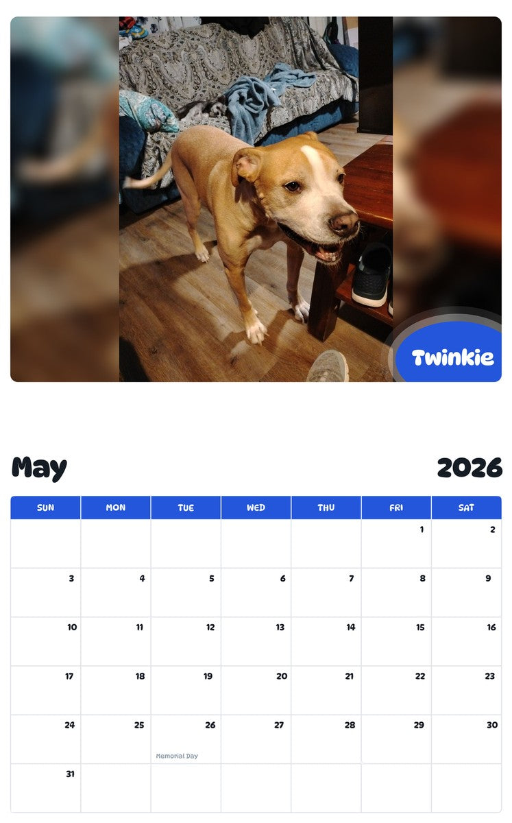 2026 - 2027 Twinkie - Pawidols Pet Calendar