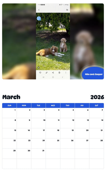 November 2025 - October 2026 Milo and Jasper - Pawidols Pet Calendar
