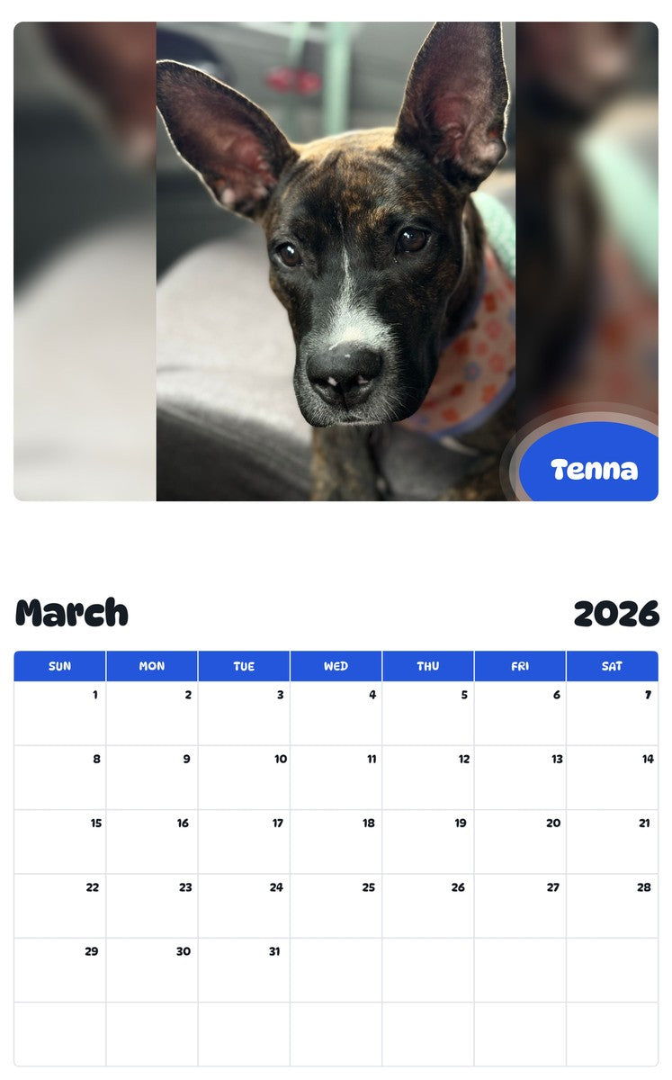 November 2025 - October 2026 Tenna - Pawidols Pet Calendar