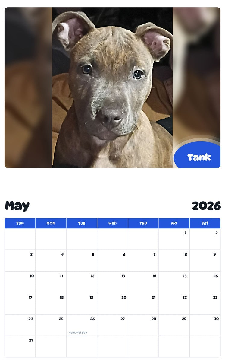 2026 - 2027 Tank - Pawidols Pet Calendar