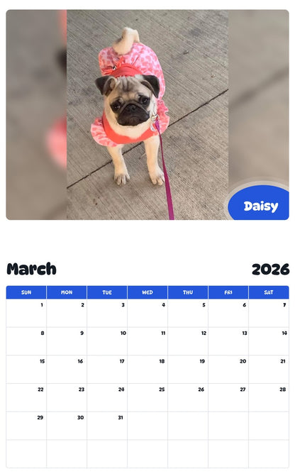 November 2025 - October 2026 Daisy - Pawidols Pet Calendar
