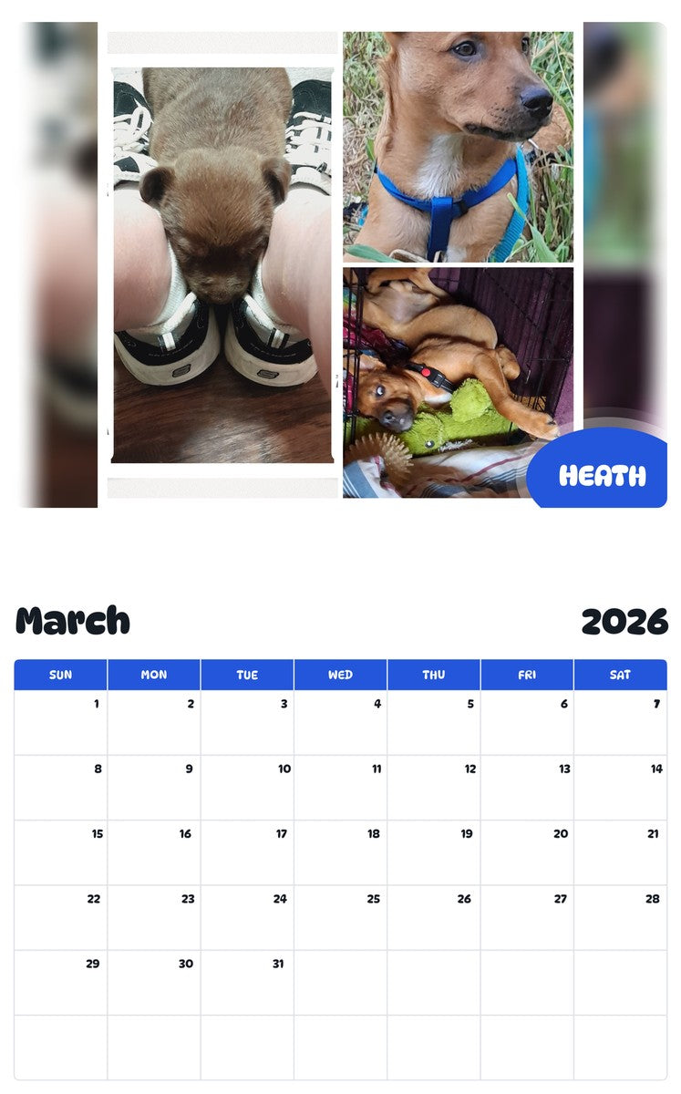November 2025 - October 2026 HEATH - Pawidols Pet Calendar