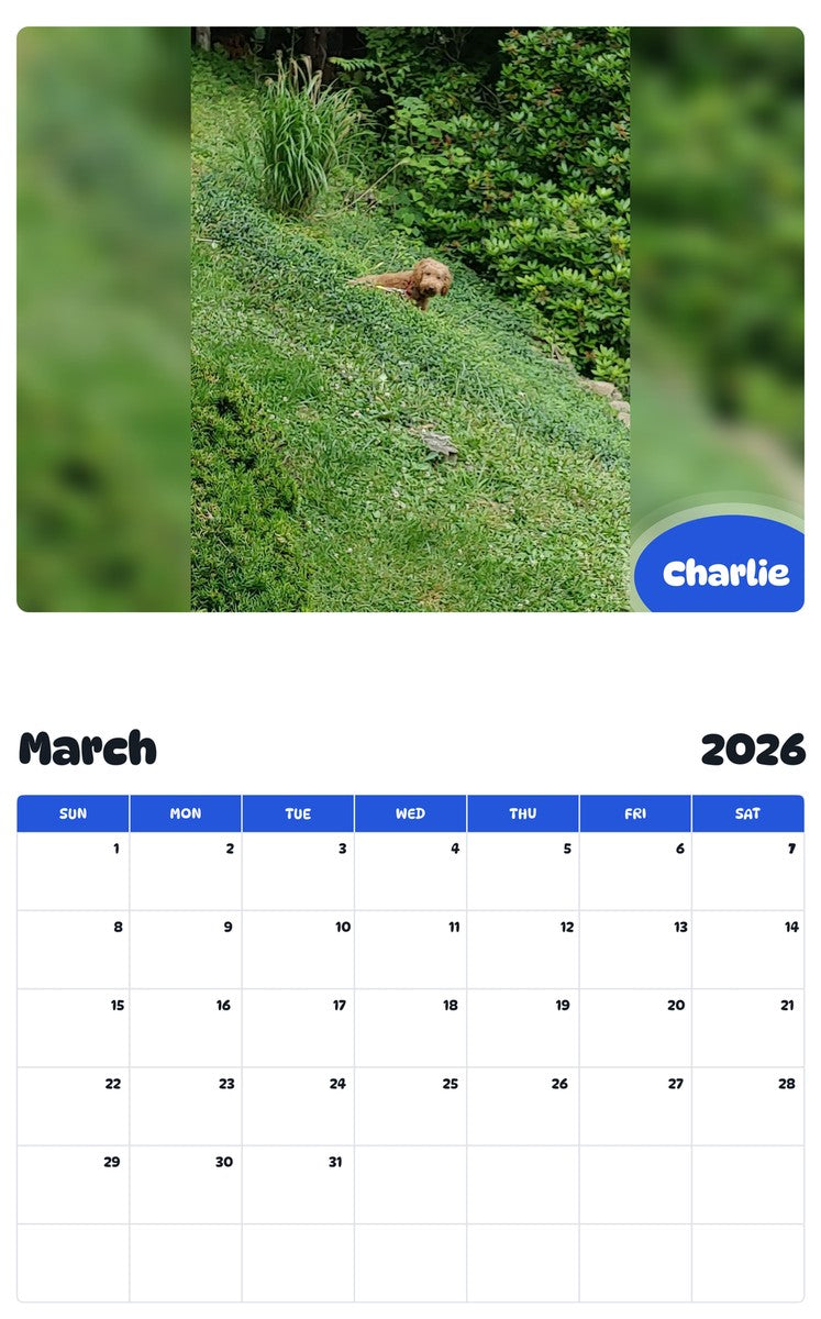 November 2025 - October 2026 Charlie - Pawidols Pet Calendar