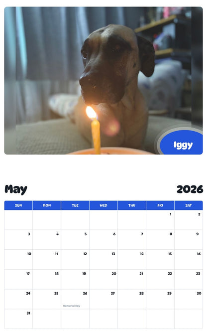 2026 - 2027 Iggy - Pawidols Pet Calendar