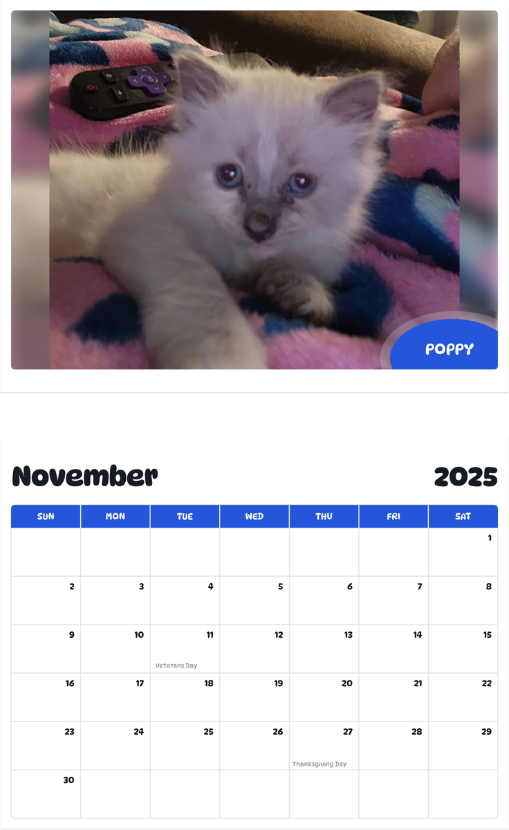 July 2025 - June 2026 Poppy - Pawidols Pet Calendar