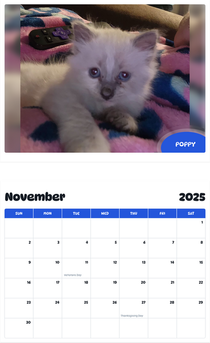 July 2025 - June 2026 Poppy - Pawidols Pet Calendar