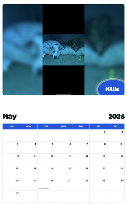2026 - 2027 Millie - Pawidols Pet Calendar