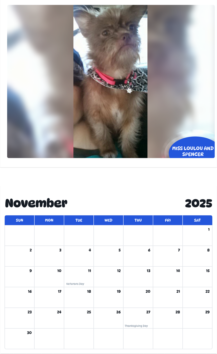 July 2025 - June 2026 Miss Loulou and Spencer - Pawidols Pet Calendar