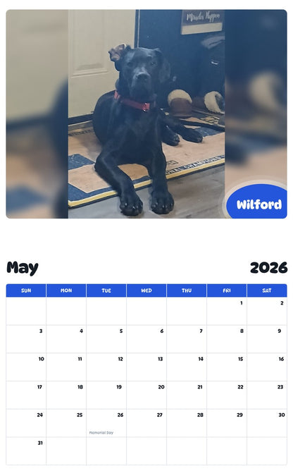2026 - 2027 Wilford - Pawidols Pet Calendar