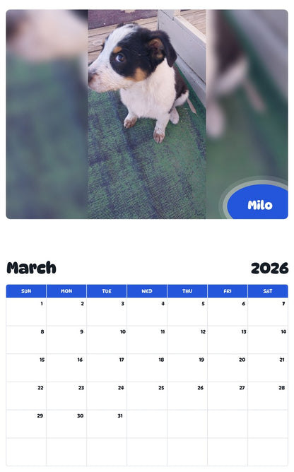 November 2025 - October 2026 Milo - Pawidols Pet Calendar