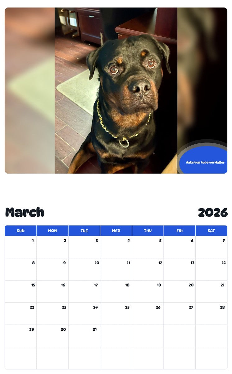 November 2025 - October 2026 Jake Von Auberon Waller - Pawidols Pet Calendar