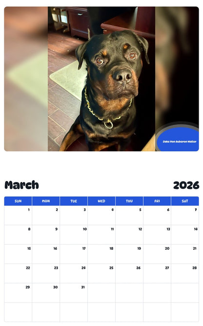 November 2025 - October 2026 Jake Von Auberon Waller - Pawidols Pet Calendar