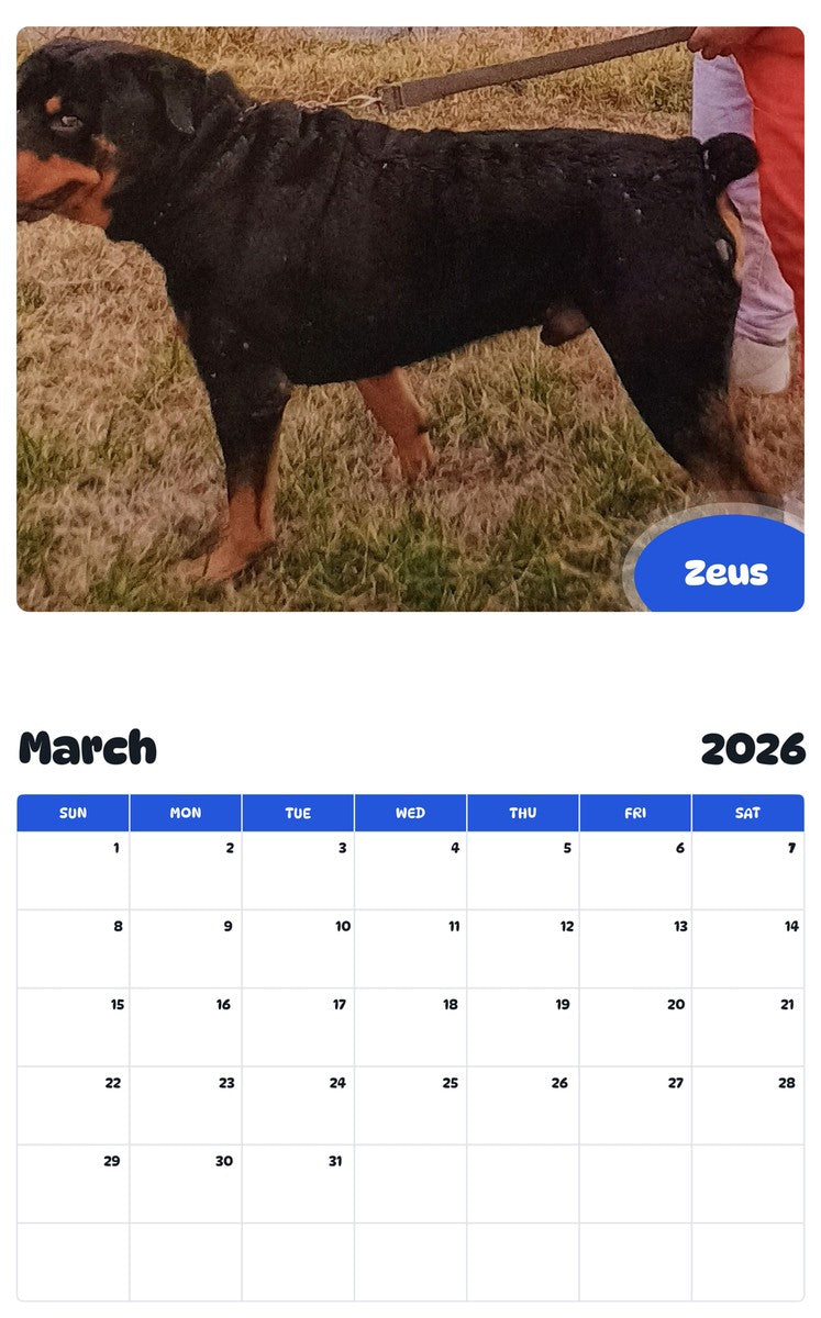 November 2025 - October 2026 Zeus - Pawidols Pet Calendar