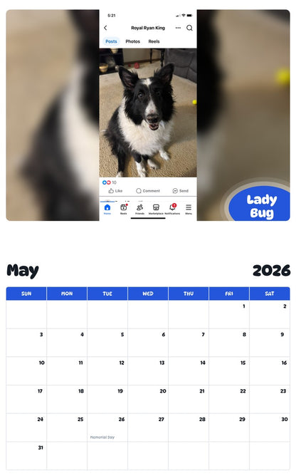 2026 - 2027 Lady Bug - Pawidols Pet Calendar