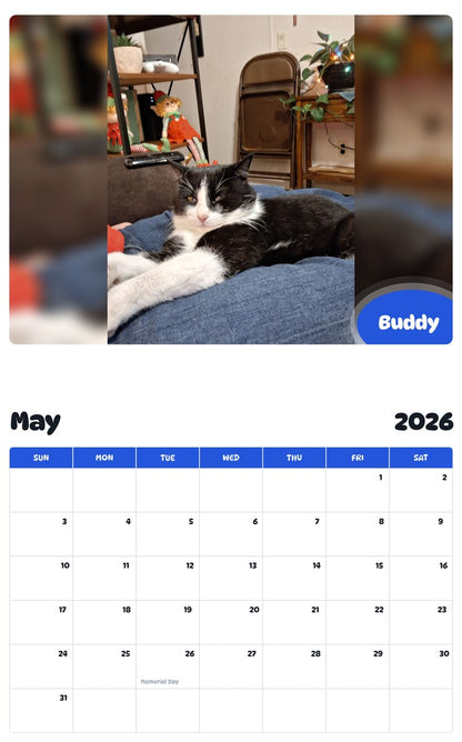 2026 - 2027 Buddy - Pawidols Pet Calendar
