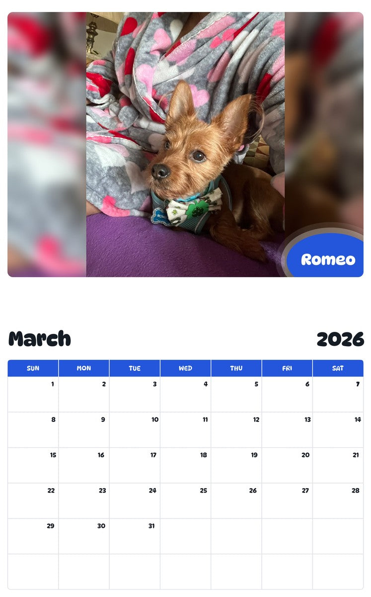 November 2025 - October 2026 Romeo - Pawidols Pet Calendar