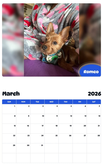 November 2025 - October 2026 Romeo - Pawidols Pet Calendar