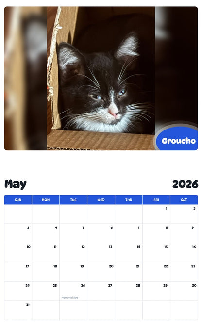 2026 - 2027 Groucho - Pawidols Pet Calendar