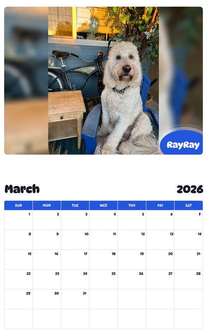 November 2025 - October 2026 RayRay - Pawidols Pet Calendar