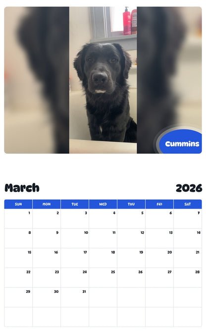 November 2025 - October 2026 Cummins - Pawidols Pet Calendar