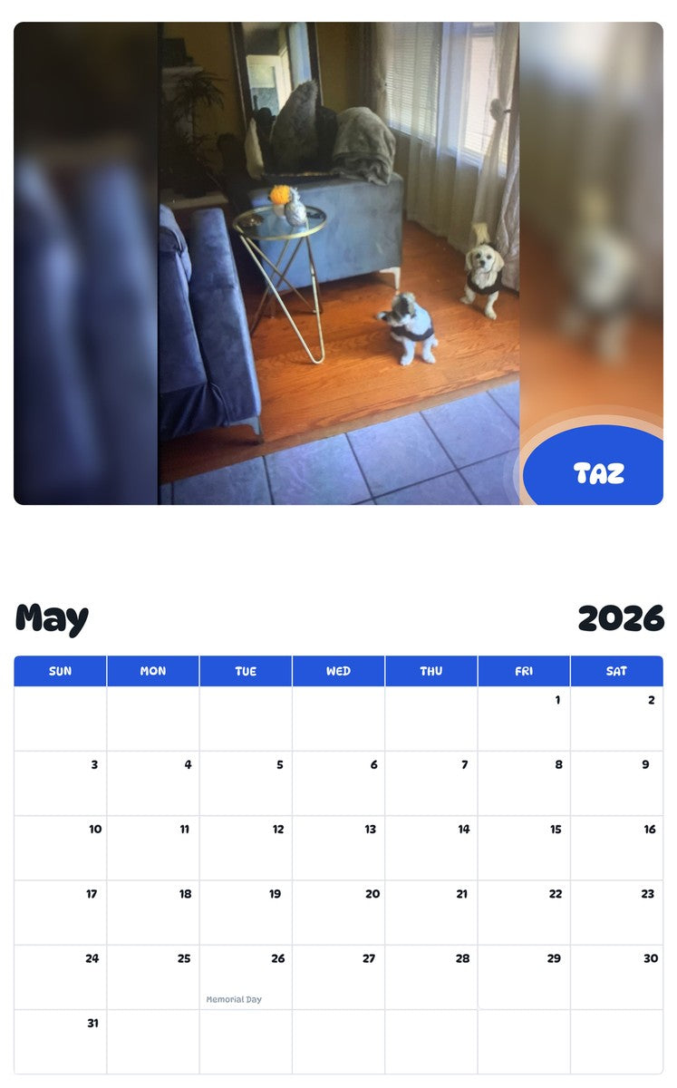 2026 - 2027 TAZ - Pawidols Pet Calendar