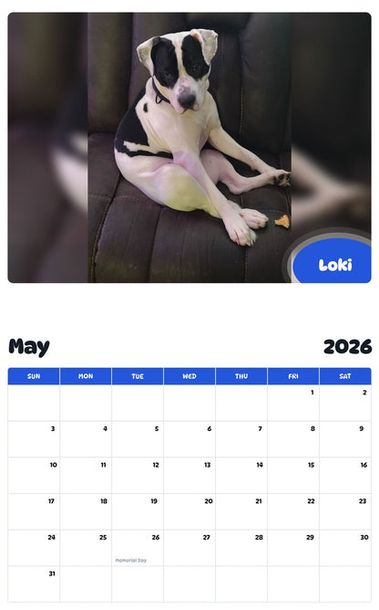 2026 - 2027 Loki - Pawidols Pet Calendar