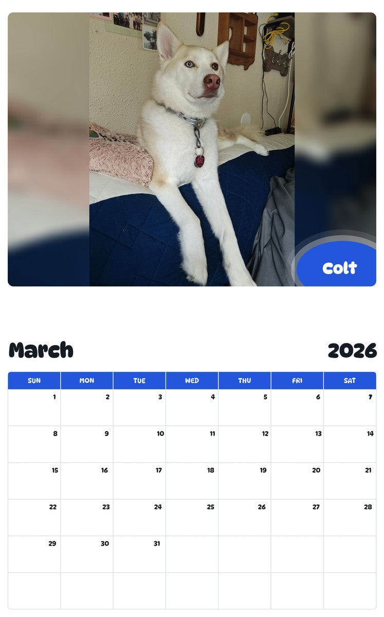 November 2025 - October 2026 Colt - Pawidols Pet Calendar