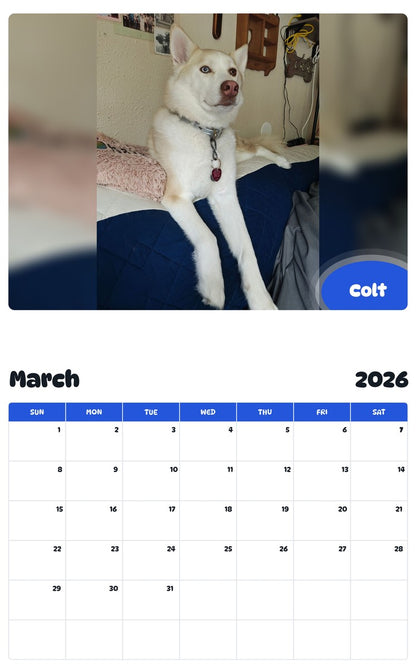 November 2025 - October 2026 Colt - Pawidols Pet Calendar