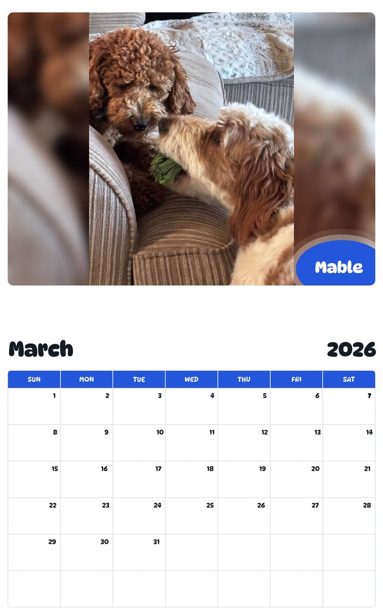 November 2025 - October 2026 Mable - Pawidols Pet Calendar