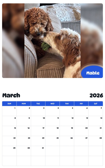 November 2025 - October 2026 Mable - Pawidols Pet Calendar