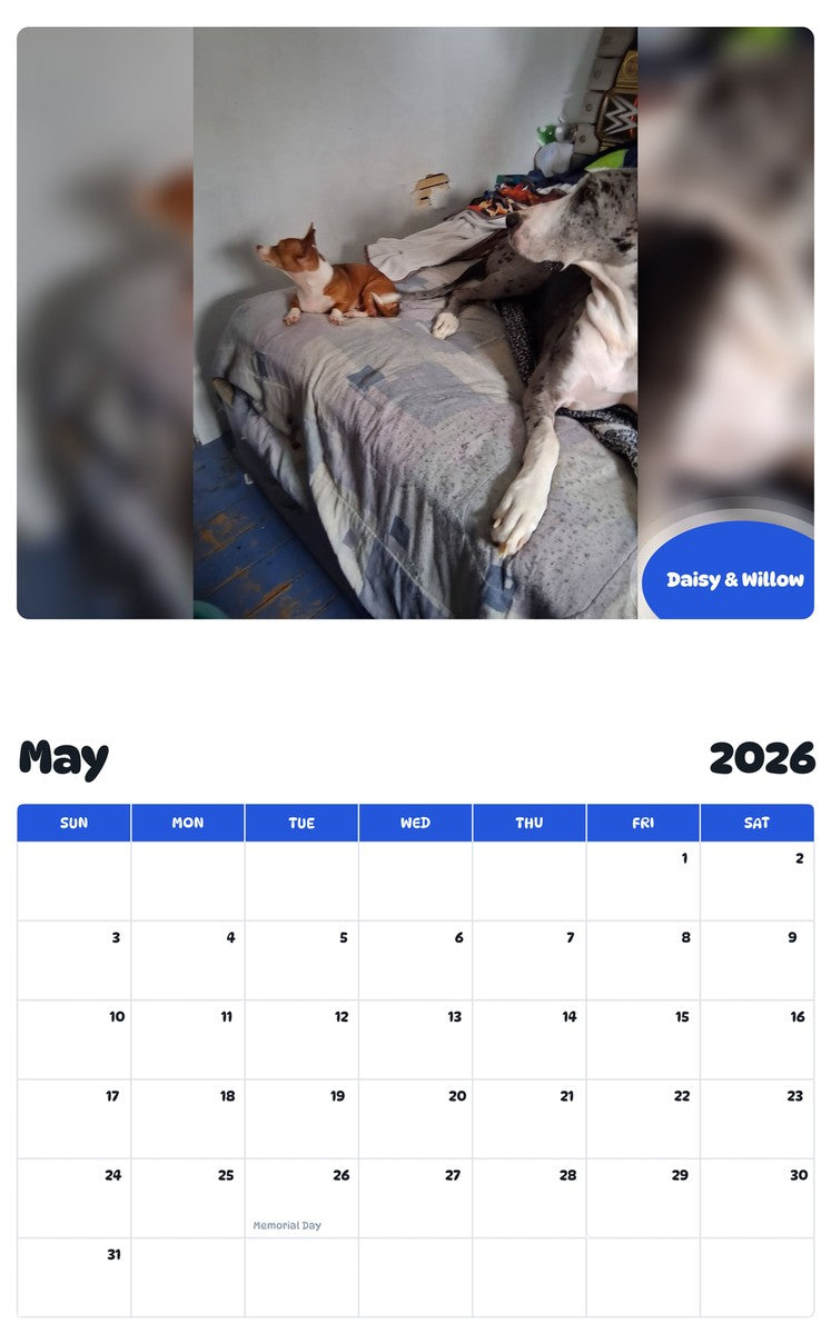 2026 - 2027 Daisy & Willow - Pawidols Pet Calendar