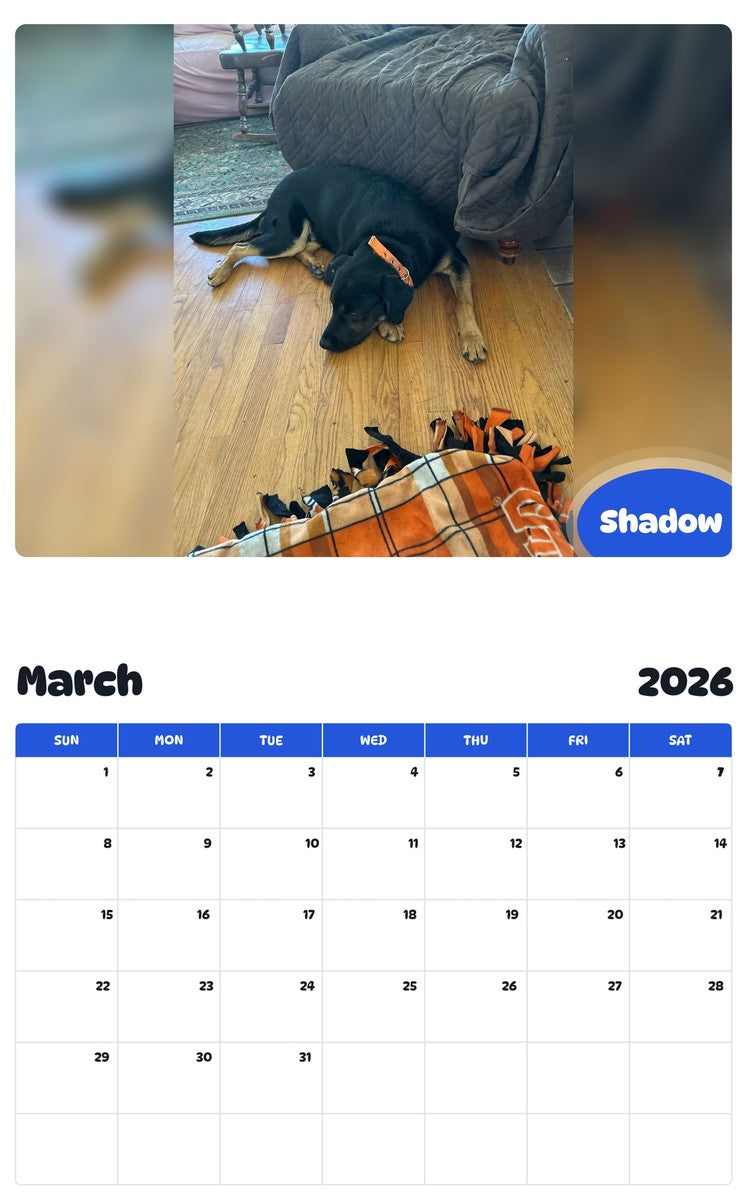 November 2025 - October 2026 Shadow - Pawidols Pet Calendar