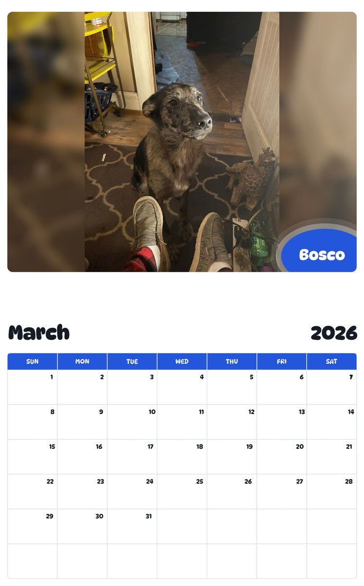 November 2025 - October 2026 Bosco - Pawidols Pet Calendar